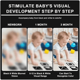 Montessori Cognitive Early Development Cards (0-36 Months)